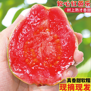 红心芭乐软糯香甜软心番石榴奶油芭乐老树新鲜现摘巴乐果5斤包邮