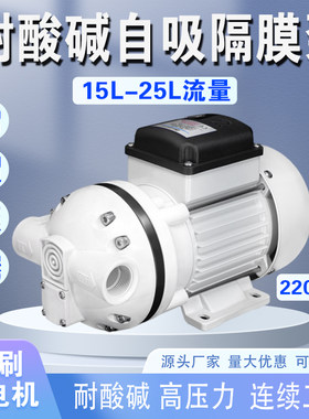 电动隔膜泵220V小型耐酸碱防腐蚀塑料循环泵次氯酸加药机抽液水泵