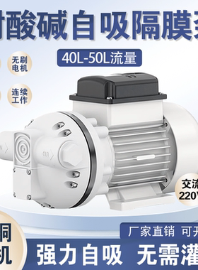 耐酸碱自吸水泵防腐蚀隔膜泵220V