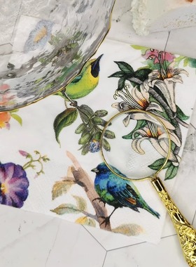 蝶骨巴特一次性餐巾纸印花彩色手帕纸家用纸巾 蓝黄鸟25x25cm