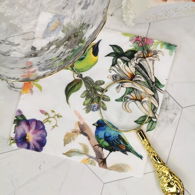 蝶骨巴特一次性餐巾纸印花彩色手帕纸家用纸巾 蓝黄鸟25x25cm