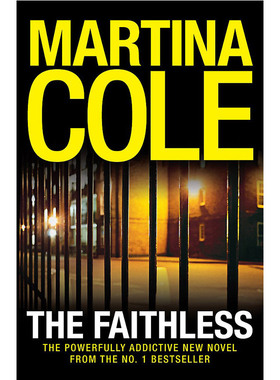 'The Faithless (Export Only) 移情别恋 纯全英文版正版原著进口原版英语书籍