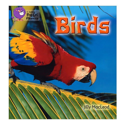 BirdsCollinsBigCat