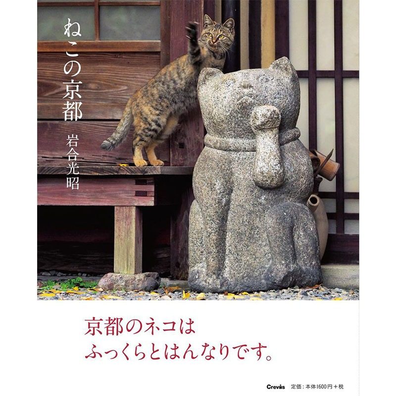 中图日文京都的猫咪日文原版