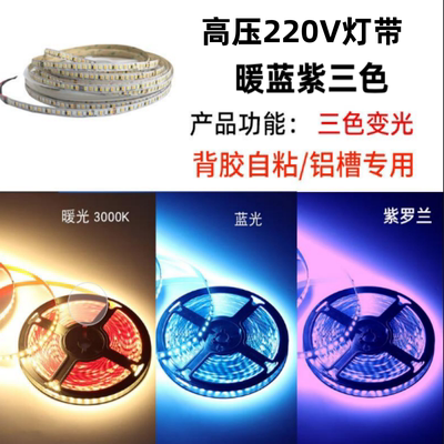 220V高压裸片灯带196珠三色