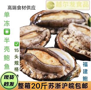 福建单冻半壳鲍鱼15头装整箱20斤苏浙沪皖包邮现货秒发