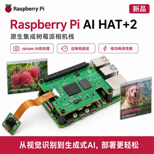 RaspberryPiAIHAT+2开发板