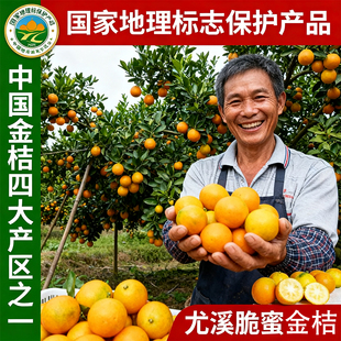 正宗尤溪管前脆蜜金桔特大果金柑新鲜现摘现发应季金橘礼盒装顺丰