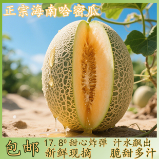 正宗海南哈密瓜当季新鲜大果8斤现摘西州密瓜脆甜多汁一整箱包邮