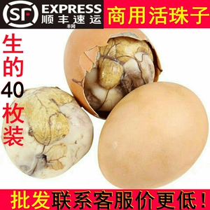商用！生的13天活珠子40枚)鸡蛋胚新鲜食材山东农家烧烤喜蛋顺丰