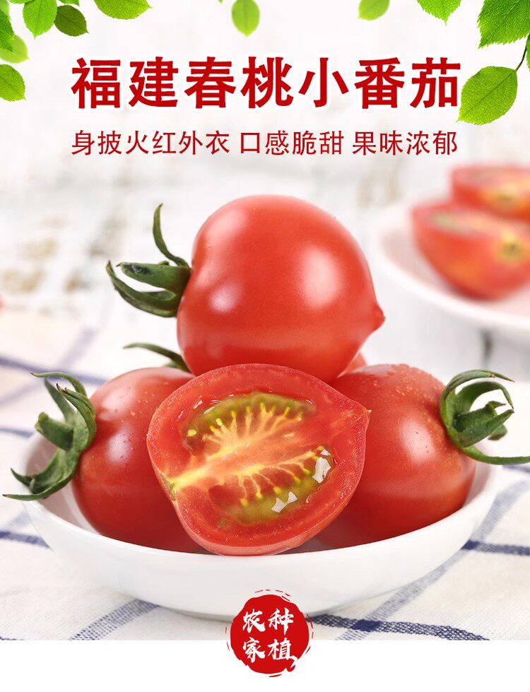 可发顺丰】春桃千禧小番茄新鲜福建特产圣女果小西红柿蔬菜水果