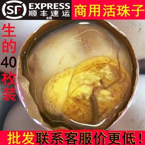 商用！生的40枚新鲜13天活珠子】新鲜鸡胚蛋生钢化蛋生毛蛋顺丰