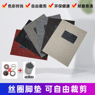 汽车丝圈脚垫通用易清洗可自剪裁单片个主驾驶位车防水加厚副驾驶