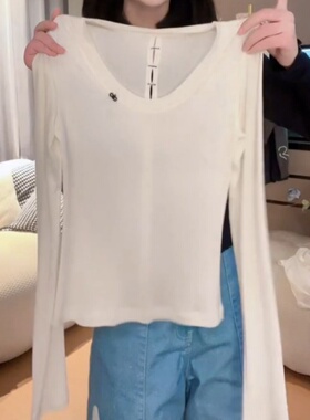 微透性感修身圆领上衣t恤2025南油秋季新款纯色简约款刺绣打底衫