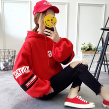 小蚂蚁网批[N档]