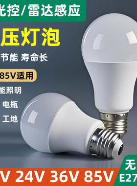 led低压12v24v36v85V声控灯雷达感应走廊物业节能灯矿井工地电瓶