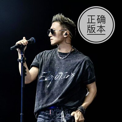 谢霆锋同款短袖T恤男女evolution夏季薄款纯棉重磅做旧宽松复古