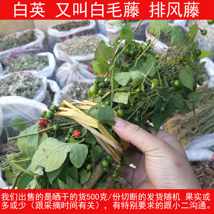 野生白毛藤 又叫白英 排风藤 草药500克 新货干货 部分地方包邮