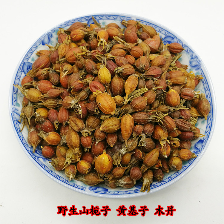 山栀子 野生黄栀子 栀子 木丹 鲜支 卮子  一斤包邮