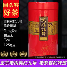 广东茗茶英德红茶英红九号红茶清远特产红茶125克每罐功夫红茶
