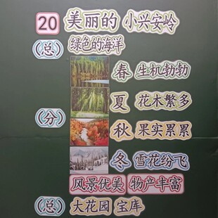 美丽的小兴安岭公开课教具板贴小学语文原创板书设计塑封磁性贴