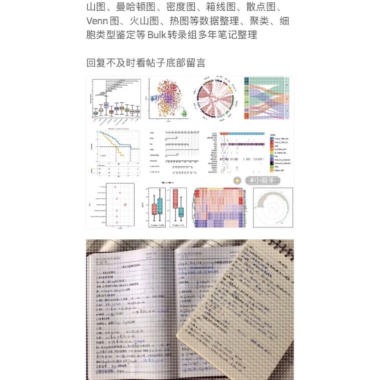 个人】r语言生信分析生物信息统计stata实证分析报告数理线性回归