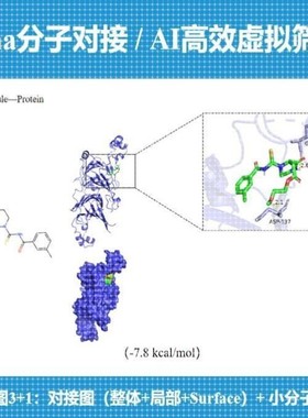 分子对接Vina/虚拟筛选Vina+高效AI