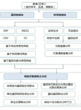 生信相关问题咨询 、GEO数据库、TCGA数据库、CGGA数据库