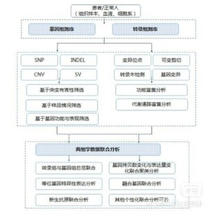 生信相关问题咨询 、GEO数据库、TCGA数据库、CGGA数据库