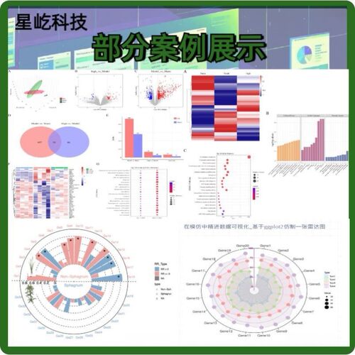 R语言代码Rstudio绘图SCI科研生信医学桑基热图数据分析作图