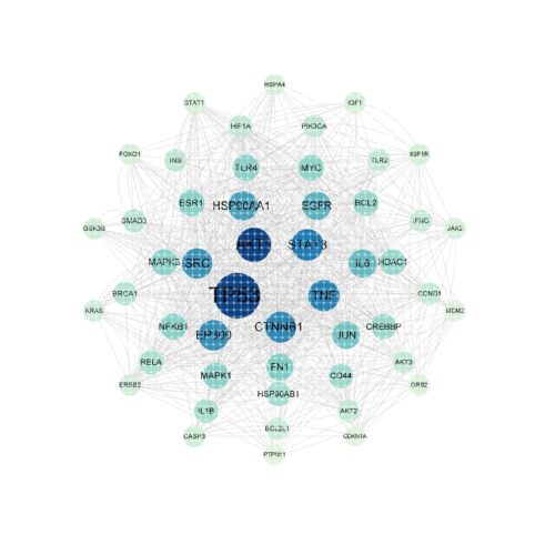 venn图,PPI蛋白质互作网络,kegg富集分析都可以做
