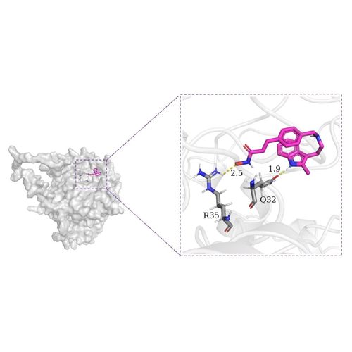 可视化软件互作分析图片制作