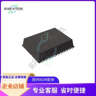 I2C BUS MODULE CLOCK TIME R2025D REAL