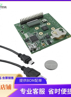 LCMXO2-1200ZE-P1-EVN【KIT DEVELOPMENT MACHXO2 PICO】开发板