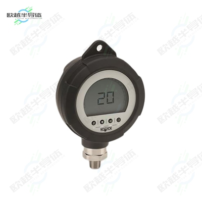 PGE20-500PSIG-1-2-RCP[传感器Digital Gauge,4 1/2-Digit displa