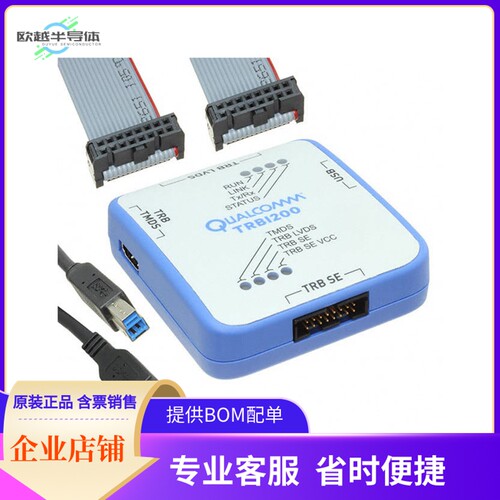 DK-TRBI200-CE684-1【TRBI200 HIGH SPEED DEBUG DEV KIT】开发