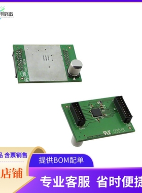 AM305421R1DBGEVB【BOARD DAUGHTER LIN STEP DVR NQFP】开发板