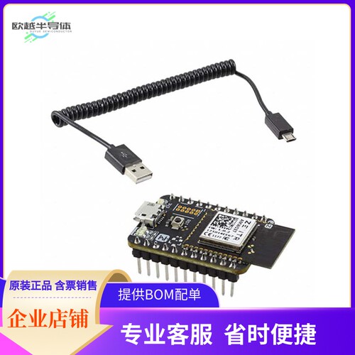 AMW037-E01【AMW037 DEVELOPER BOARD】开发板 套件 编程器