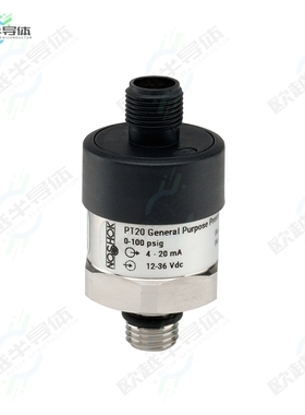 PT20-250BARG-1-1-83-25[传感器GENERAL PURPOSE TRANSMITTER]