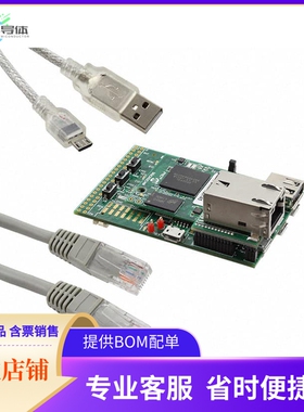 DM320008【PIC32MZ GRAPHICS EVAL BRD】开发板 套件 编程器