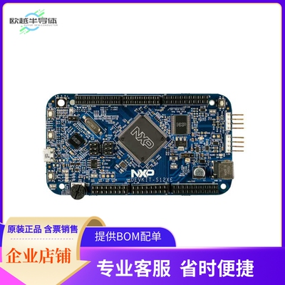 DEVKIT-S12XE【MC9S12XE EVAL BRD】开发板 套件 编程器