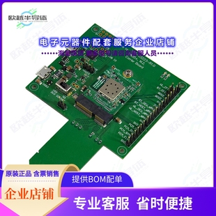 DEV 开发套件453 LWB5 USB STERLING 00049 KIT