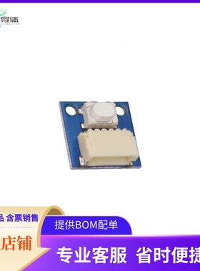 AST1015【SMALL BUTTON WIRELING】开发板 套件 编程器