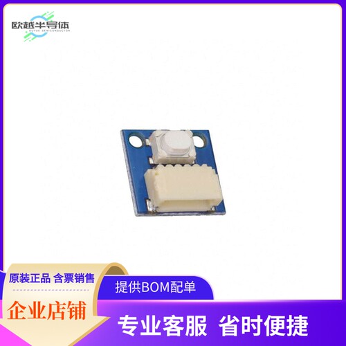 AST1015【SMALL BUTTON WIRELING】开发板 套件 编程器