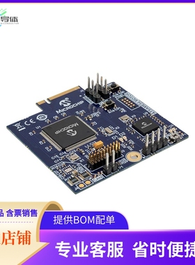 AC320208【ATSAME54 MOTOR CONTROL MCU CARD】开发板 套件 编程