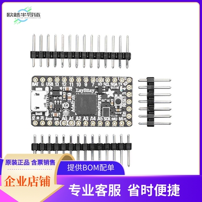 3800【ITSYBITSY M4EXPRESS ATSAMD51G19A】开发板 套件 编程器