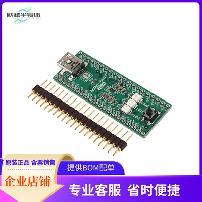 MIKROE-1595【MINI-M4 TM4C123GH6PM EVAL BRD】开发板 套件 编