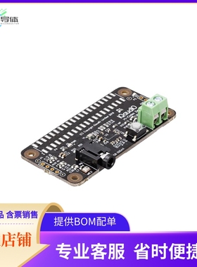 SC0366【RASPBERRY PI IQAUDIO CODEC ZERO】开发板 套件 编程器