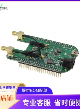 NL-AB-BBCL【SKYWIRE BEAGLE BONE BLACK CAPE L】开发板 套件