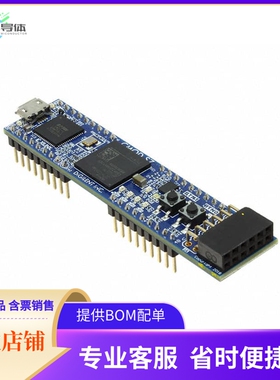 410-376【CMOD S7: BREADBOARDABLE SPARTAN7】开发板 套件 编程